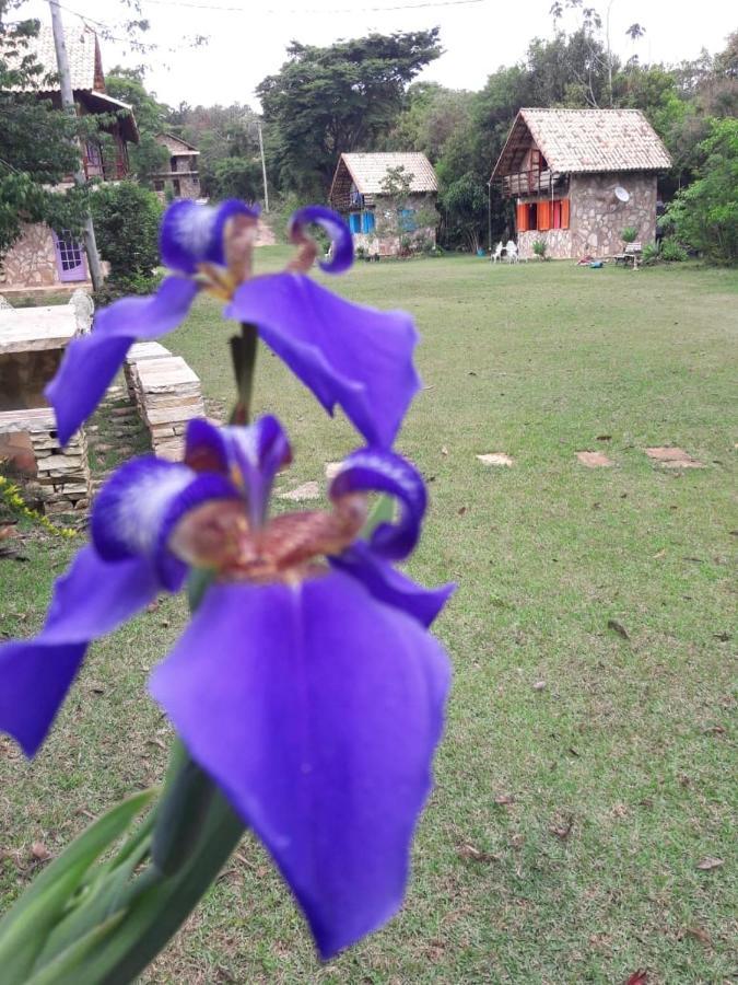 Repouso Sol Villa เซาโตเมตัสเลตราส ภายนอก รูปภาพ