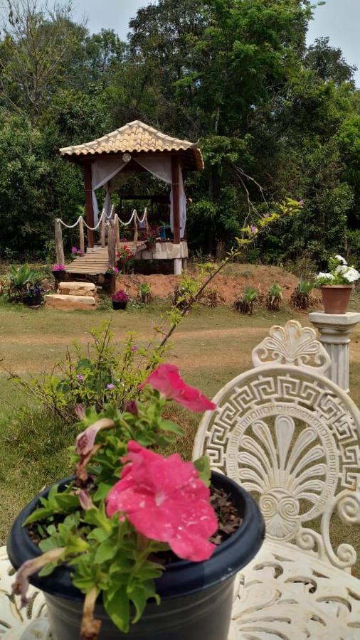 Repouso Sol Villa เซาโตเมตัสเลตราส ภายนอก รูปภาพ