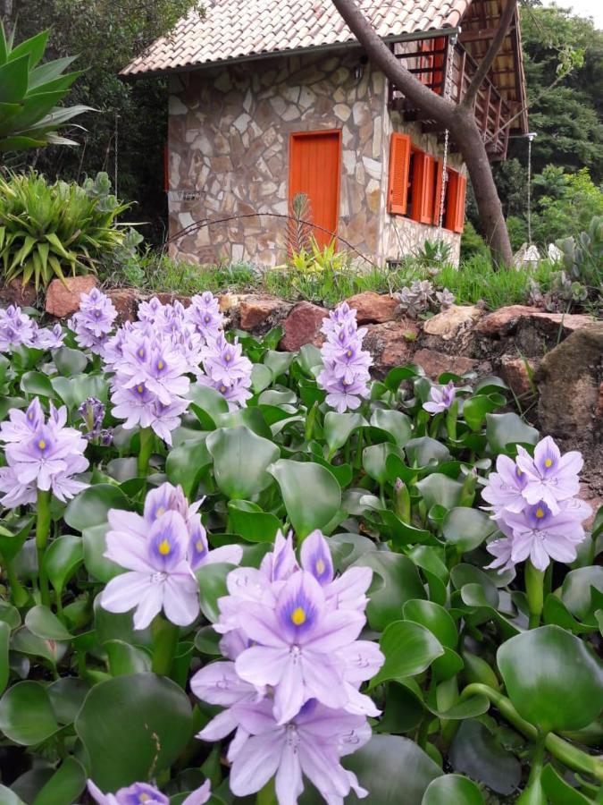 Repouso Sol Villa เซาโตเมตัสเลตราส ภายนอก รูปภาพ