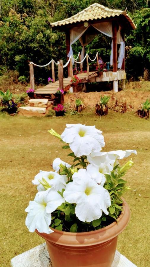 Repouso Sol Villa เซาโตเมตัสเลตราส ภายนอก รูปภาพ